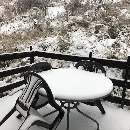 Haus Hubertus アパート ヴィリンゲン