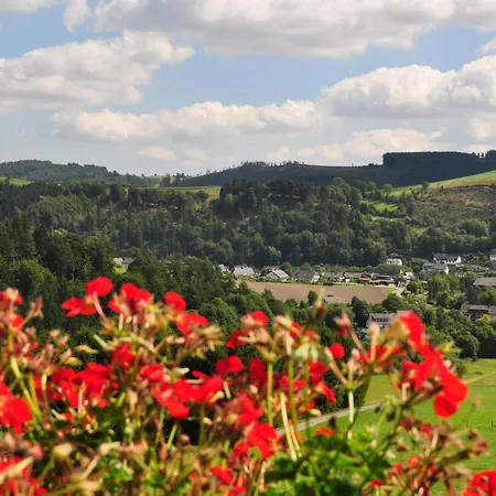 Haus Hubertus * Willingen (Upland)